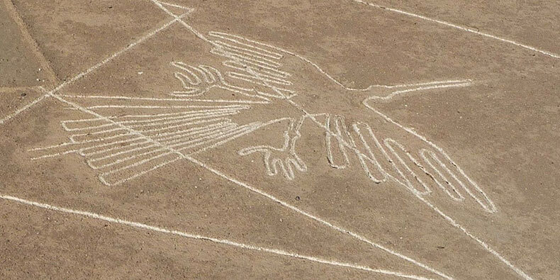 nazca lines hummingbird