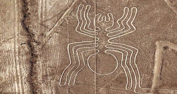 o que fazer em nazca - aranha linha de nazca