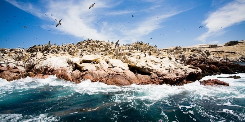 ballestas islands paracas