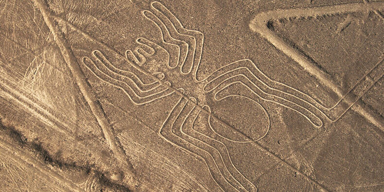 nazca lines the spider